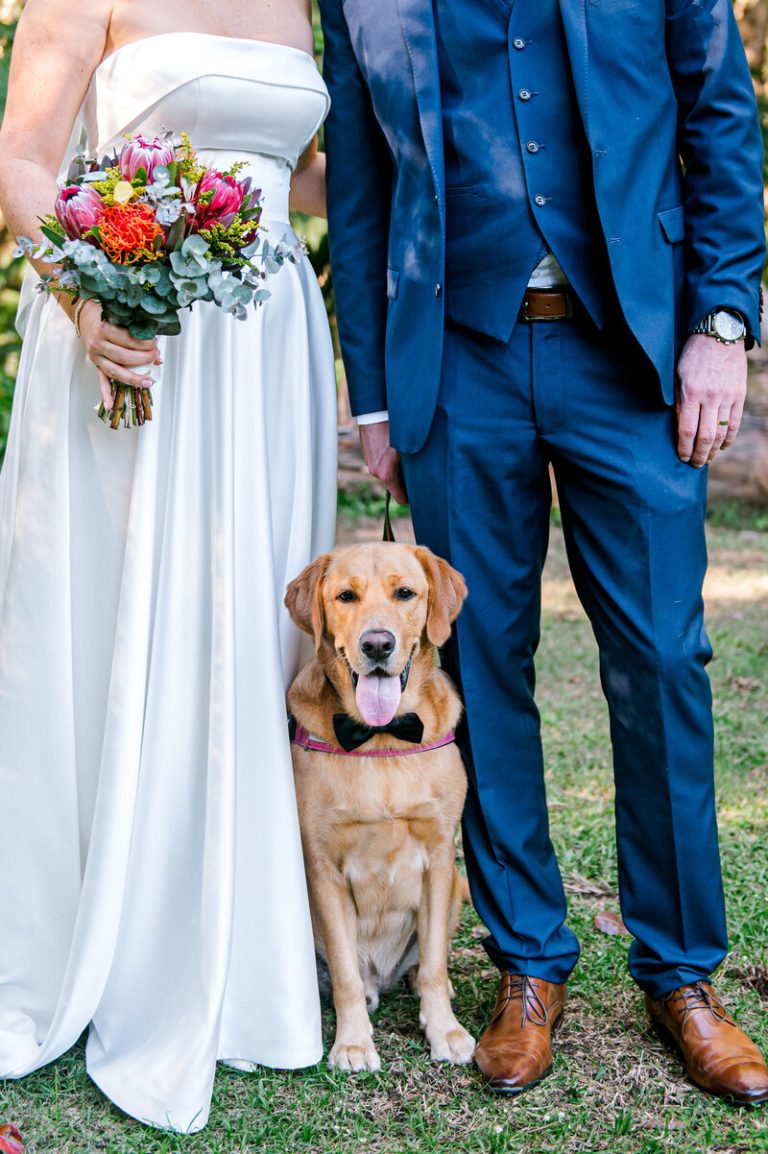 Joy Philippe Photography — photo 18 of 18